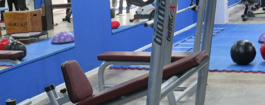 Life Fitness