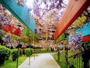 Sunny park