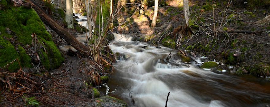 Södra Lanan Eldplats