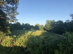 Fore-Way Challenge Golf