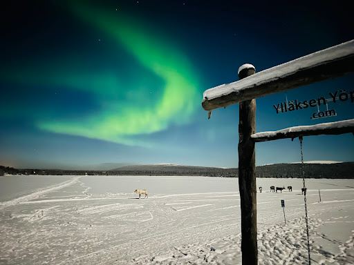 Ylläs swing