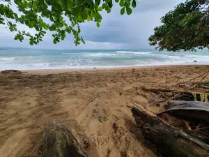 Playa Punta Uva