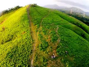 Bukit Teletubbies