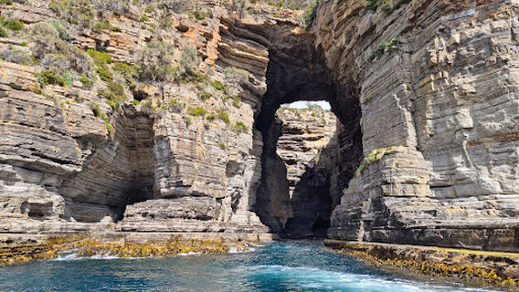 Tasman Island Cruises