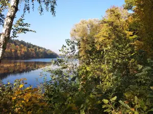 Camping - fenced