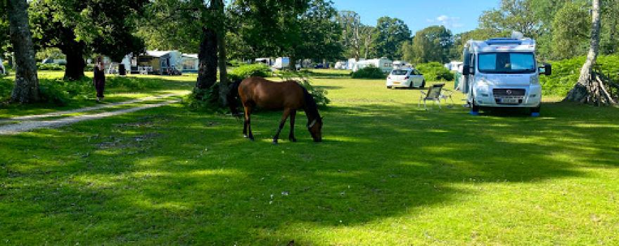 Denny Wood Campsite
