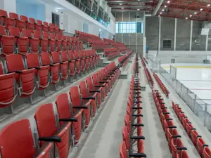Patinoar Tg Secuiesc