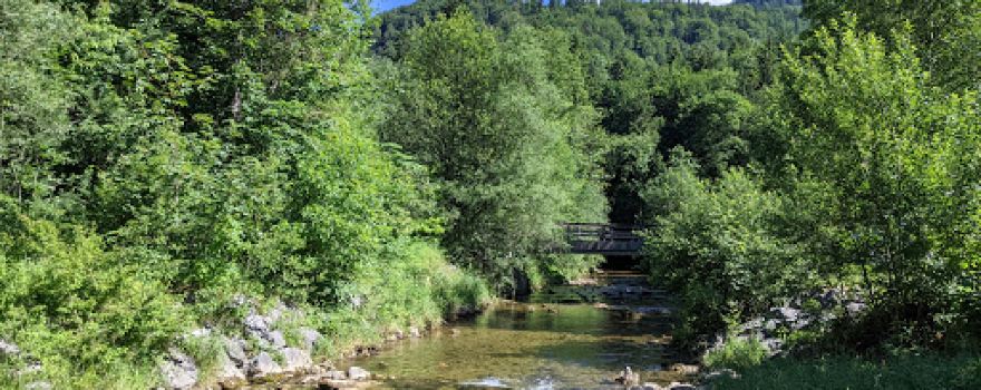 Camping - Litzelau