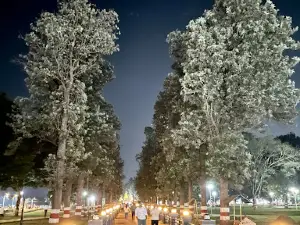Pritisangam KARAD