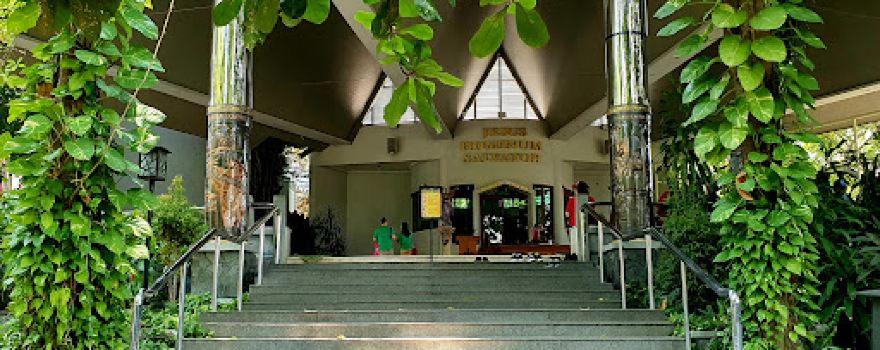Gua Maria Mojosongo (Saint Mary's Grotto - Mojosongo)