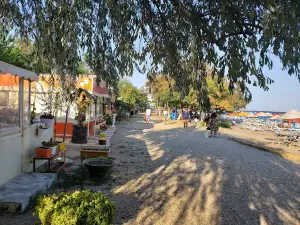 Semizkum Mocamp