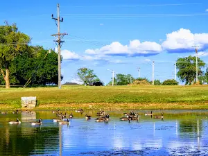 King Jack Park