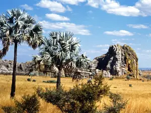 Nationalpark Andohahela