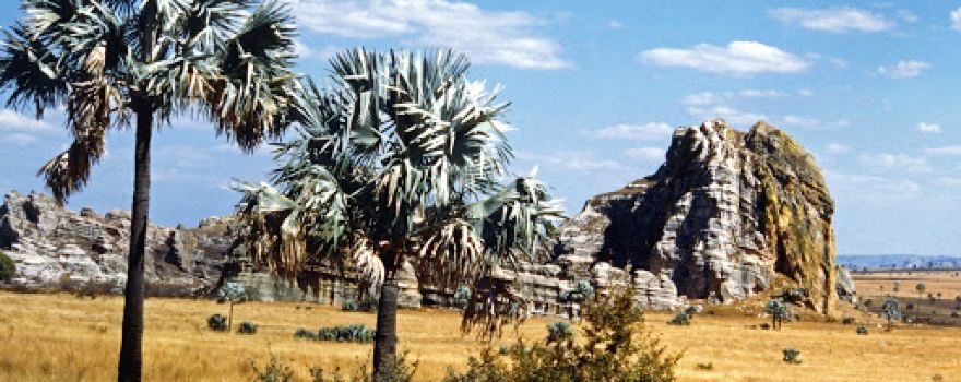 Nationalpark Andohahela