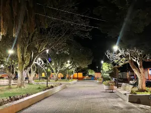 PLAZA VILLA MADERO