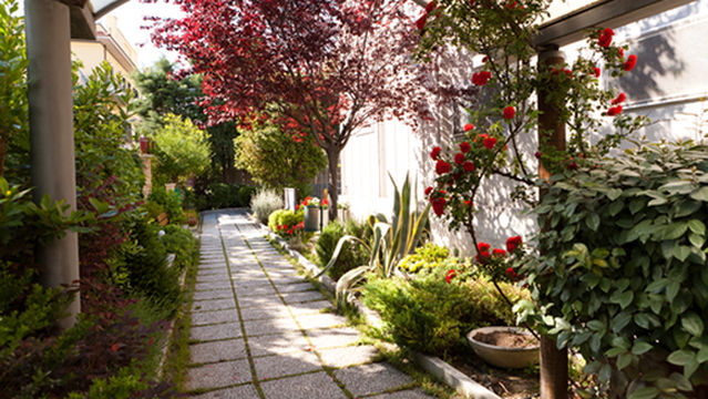 Sports Center Il Gabbiano Rosso