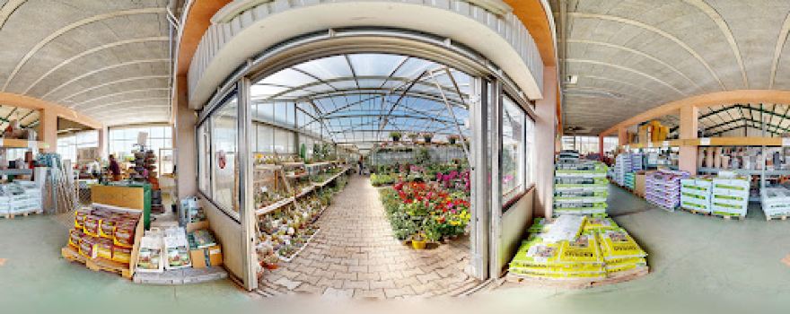 Pépinière de Sainte-Tulle (Bonheur Jardin / Jardinerie Gonzalvez)