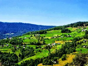 Apuseni Mountains