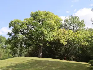 Silver Lake County Park