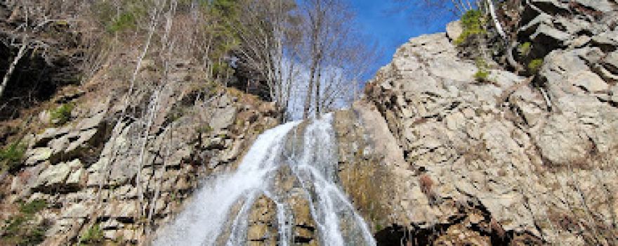 Rezervaţia naturală Buciaş