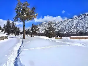 Bab e Ziarat