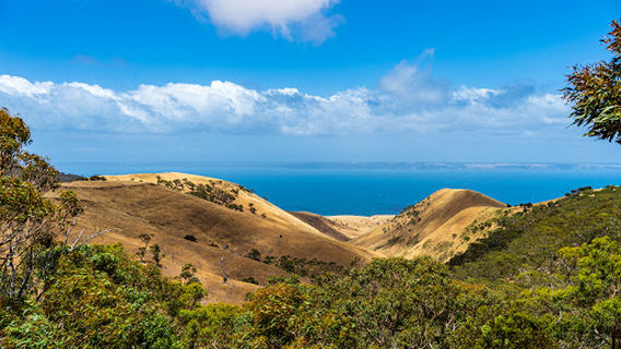 Cape Jervis