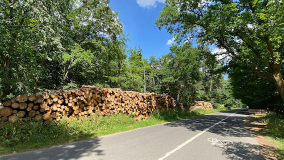 Hundefreilaufplatz Hainburg