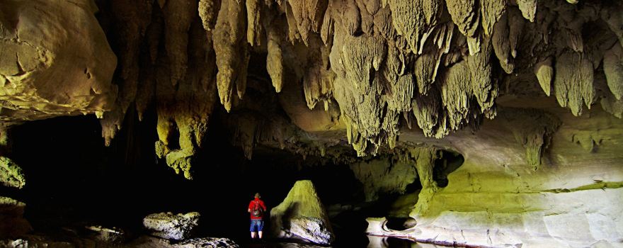 Waipu Caves Scenic Reserve