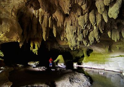 Waipu Caves Scenic Reserve