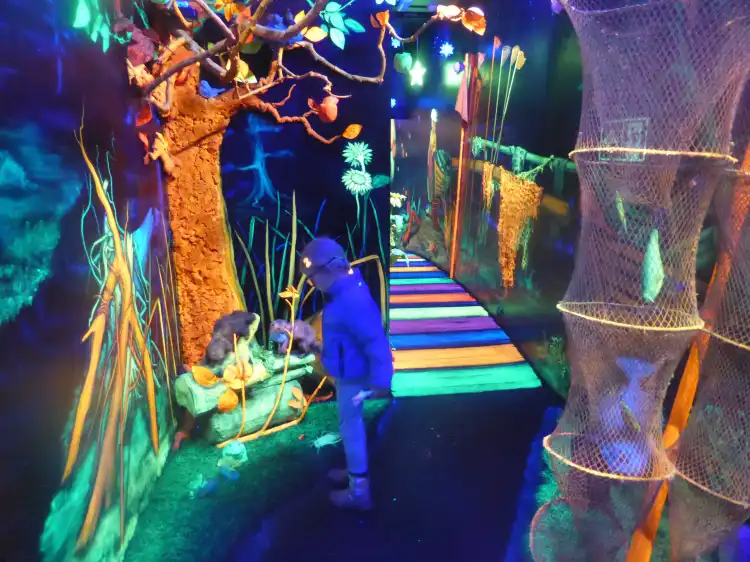 Các khách sạn gần 6D Museum (Muzeum 6D)