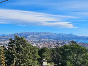 Forest Park Marjan