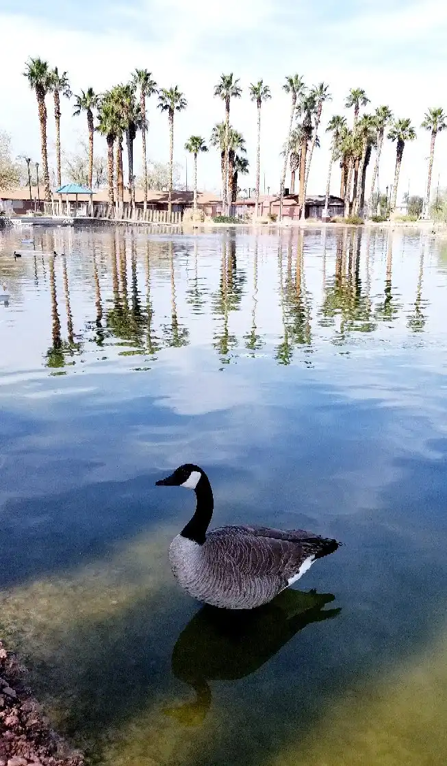 Hotels in der Nähe von Lorenzi Park