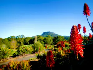Wollongong Botanic Garden