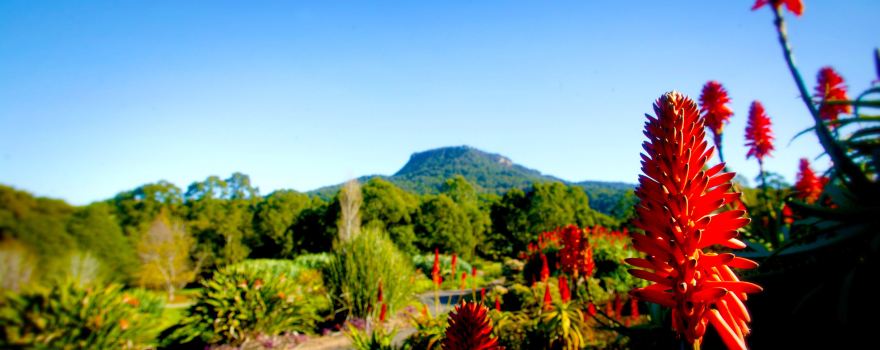 Wollongong Botanic Garden
