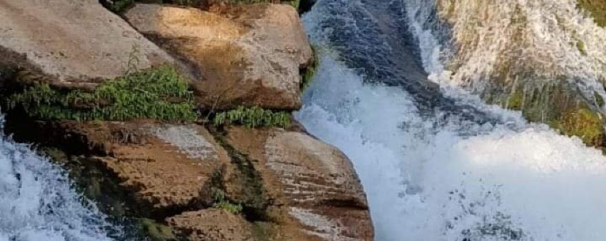 Gir Somnath