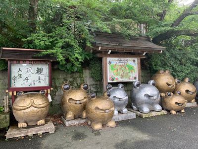 Nyoirinji Frog Temple