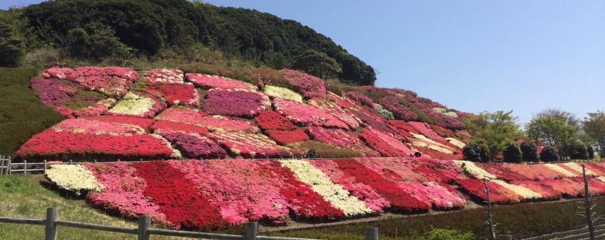 Furosan Park