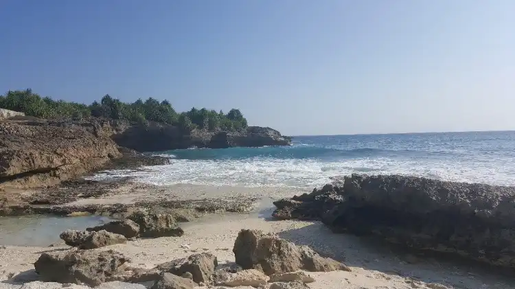 Hotels in der Nähe von Roatan Institute for Marine Sciences