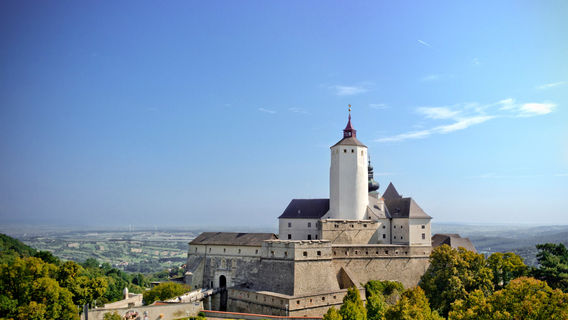 Forchtenstein Castle