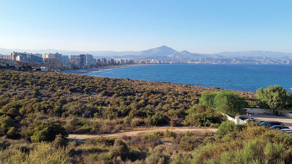 Alicante