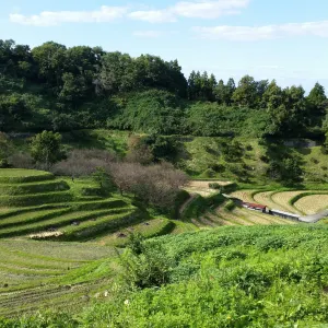 下赤阪の棚田