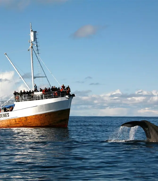 Andøy