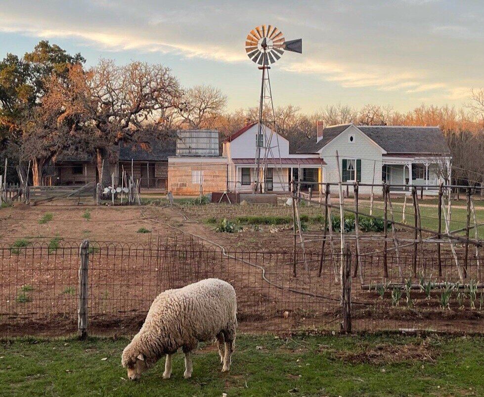 Sauer-Beckmann Living History Farm