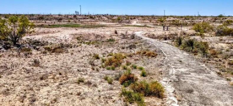 Avid في Ector County