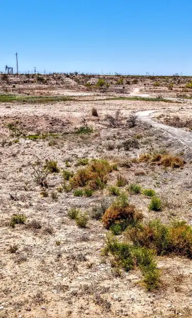 โรงแรมAvidในEctor County