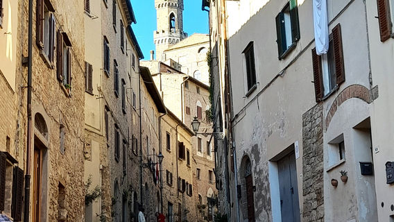 Volterra