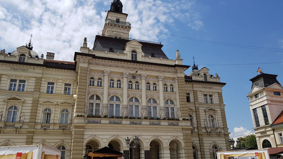 Памятник Светозару Милетичу