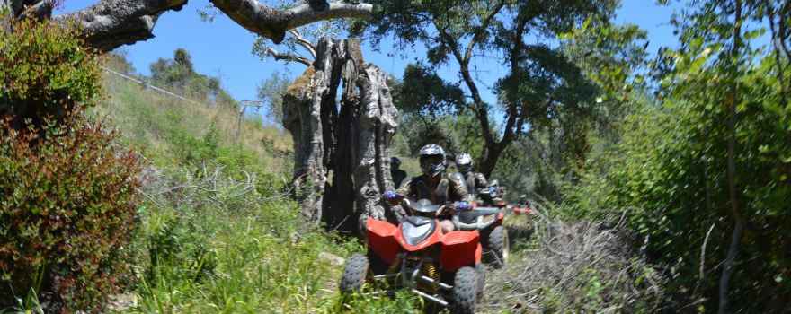 Quinta Quads