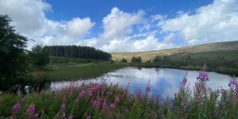 Killhope Lead Mining Museum
