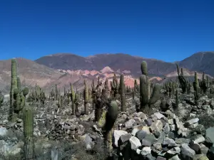 Le Pucará de Tilcara